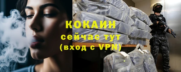 спайс Богородицк