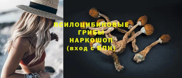 стаф Богородск