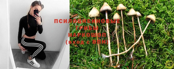 амф Анжеро-Судженск