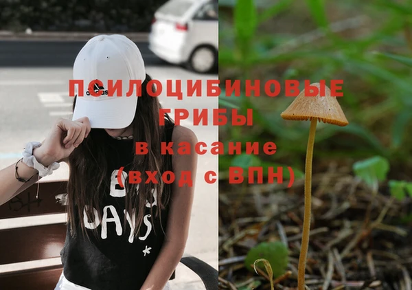 прущая мука Усмань