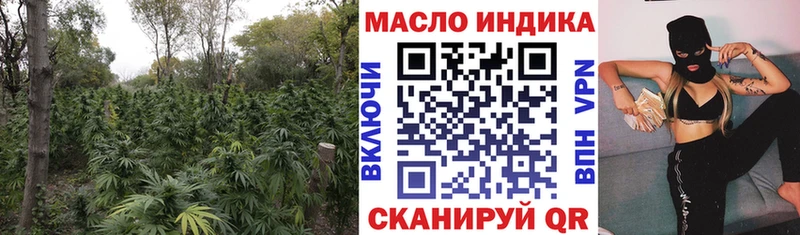 Дистиллят ТГК THC oil Гай