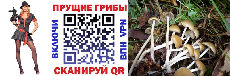 Псилоцибиновые грибы мухоморы  Гай 