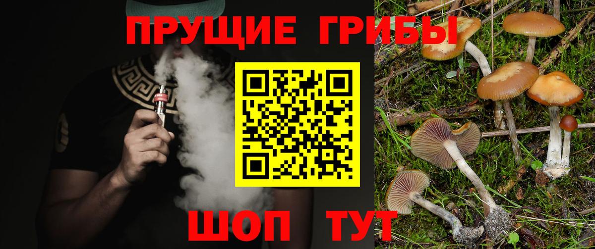 Галлюциногенные грибы ЛСД  Вход с VPN  Гай 
